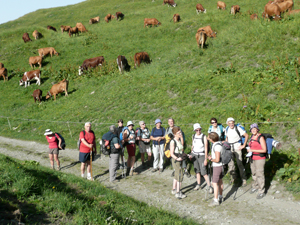 Cliquez ICI pour agrandir l'image. photo